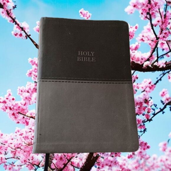 Thinline Bible Large Print Imitation Leather Red Letter Edition Thomas Nelson - Picture 16 of 16
